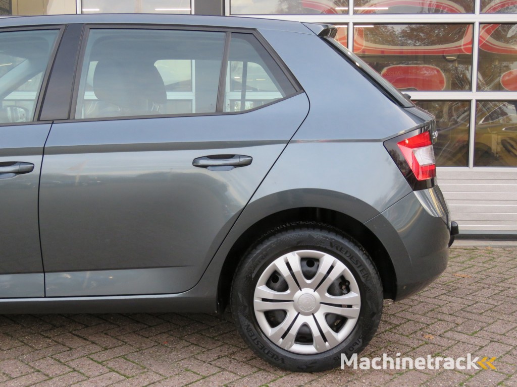 Skoda Fabia 1.2 TSI 110pk DSG-aut. FIRST EDITION / Pano / Trekhaak / Clima / Cruise / BOVAG garantie