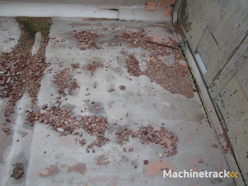 Benalu Non spécifié