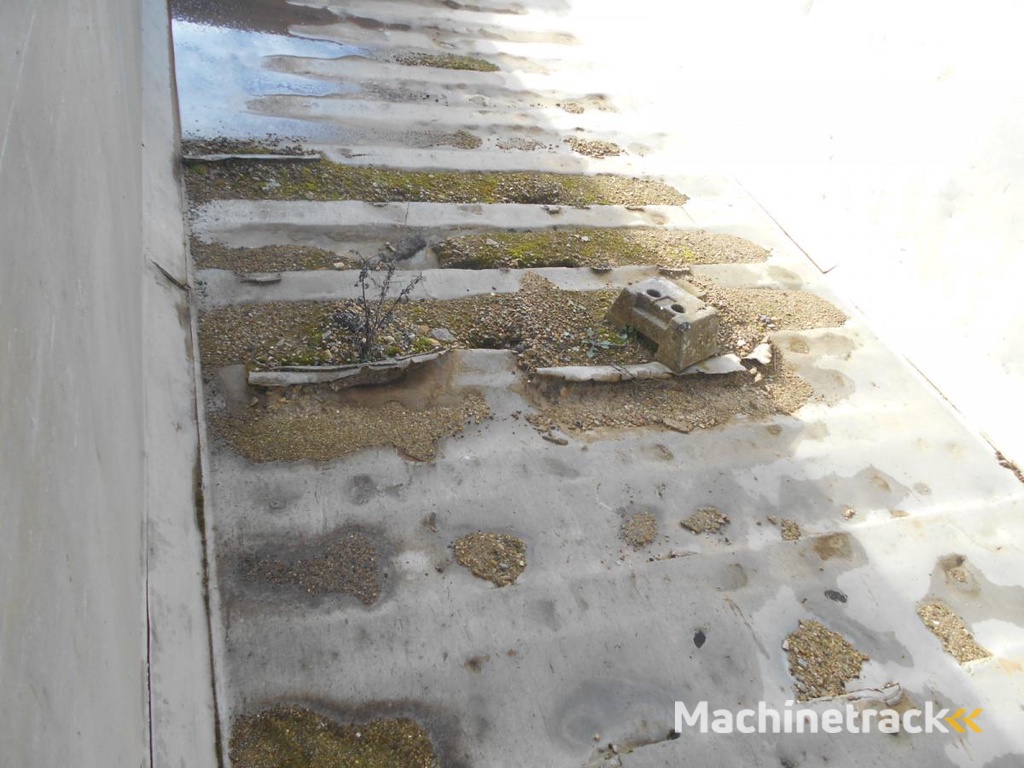 Benalu Non spécifié