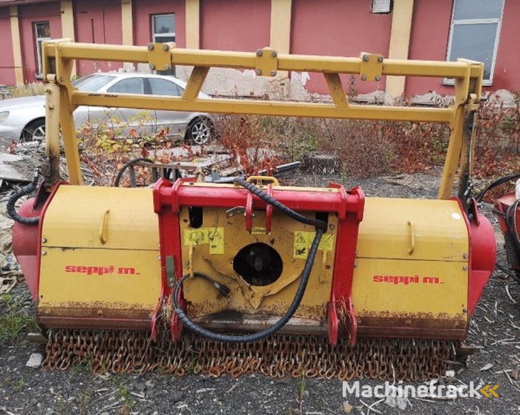 _JINÉ IT) Seppi M - Midiforst DT225