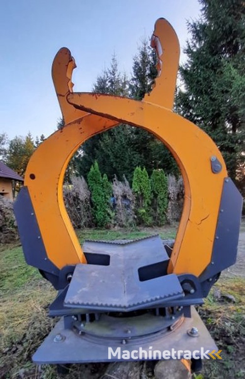 _JINÉ (Palms - 13 D)