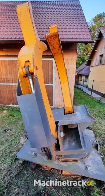 _JINÉ (Palms - 13 D)