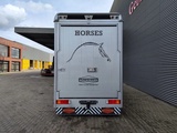 Minituur van Mercedes-Benz Sprinter 515 CDI Böckmann Horsetruck 24.500 KM Topcondition!
