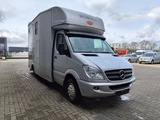 Minituur van Mercedes-Benz Sprinter 515 CDI Böckmann Horsetruck 24.500 KM Topcondition!