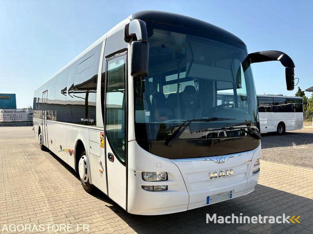 MAN Lions-Regio