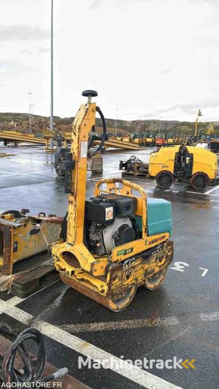Ammann RW