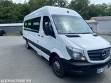 Minituur van Mercedes Sprinter