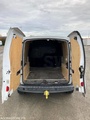 Minituur van Renault Kangoo