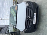 Minituur van Mercedes Vito