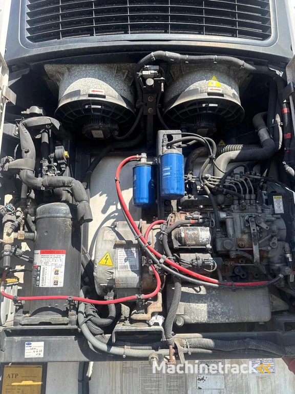 Gray and Adams 2017 Vector 1550 - 201786