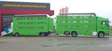 Thumbnail of MAN 26.460 Cuppers Box Total 108,9 m2 nice Truck and trailer!