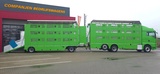Thumbnail of MAN 26.460 Cuppers Box Total 108,9 m2 nice Truck and trailer!