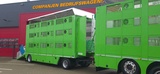 Thumbnail of MAN 26.460 Cuppers Box Total 108,9 m2 nice Truck and trailer!