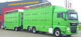 Thumbnail of MAN 26.460 Cuppers Box Total 108,9 m2 nice Truck and trailer!