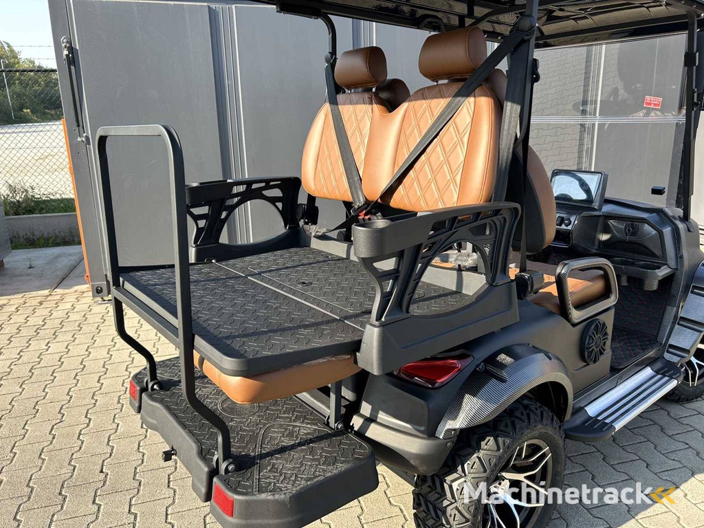 Golfkar RTE Elektrisch 2025 Nieuw