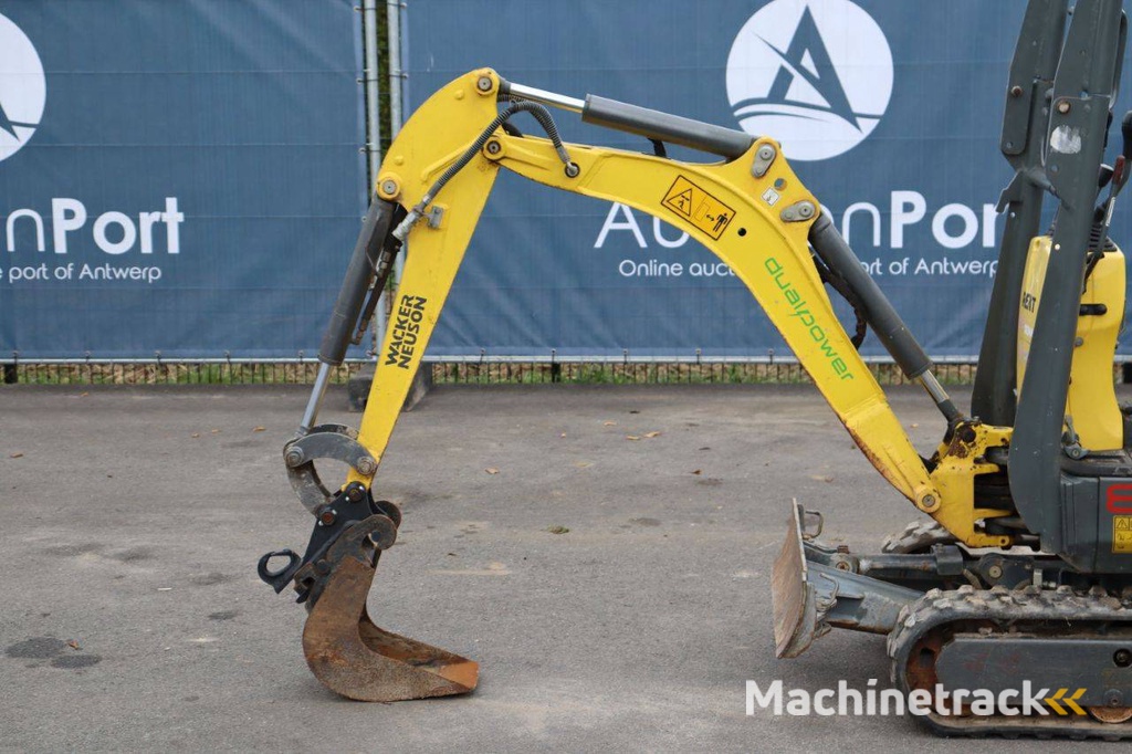 Minigraver Wacker Neuson 803 Elektrisch + Diesel 2019