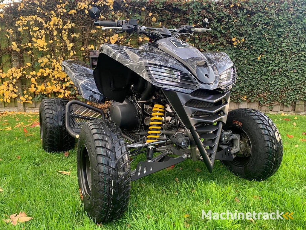 quad Kawasaki KFX 700 (Marge)