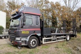 Minituur van Vrachtwagen DAF FA75CF310U Diesel 2010 met platte Laadbak