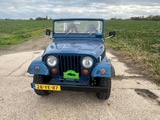 Miniaturansicht von Jeep CJ-5 Benzin 101 PS 1975