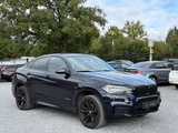 Minituur van BMW X6 Xdrive 30D Diesel 2018 (Marge)