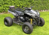 Minituur van quad Kawasaki KFX 700 (Marge)