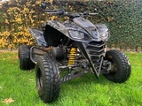 Minituur van quad Kawasaki KFX 700 (Marge)