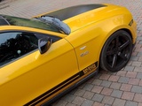 Minituur van Ford Mustang GT Boss 302 Benzine 2011 (Marge)