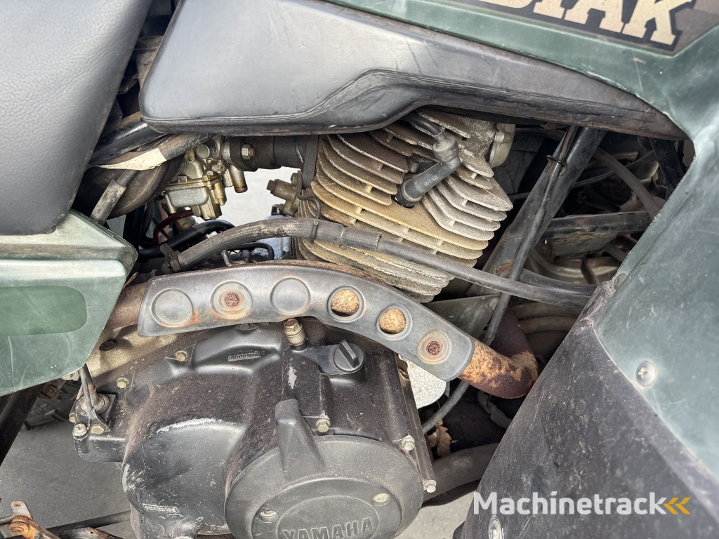 Yamaha Kodik quad