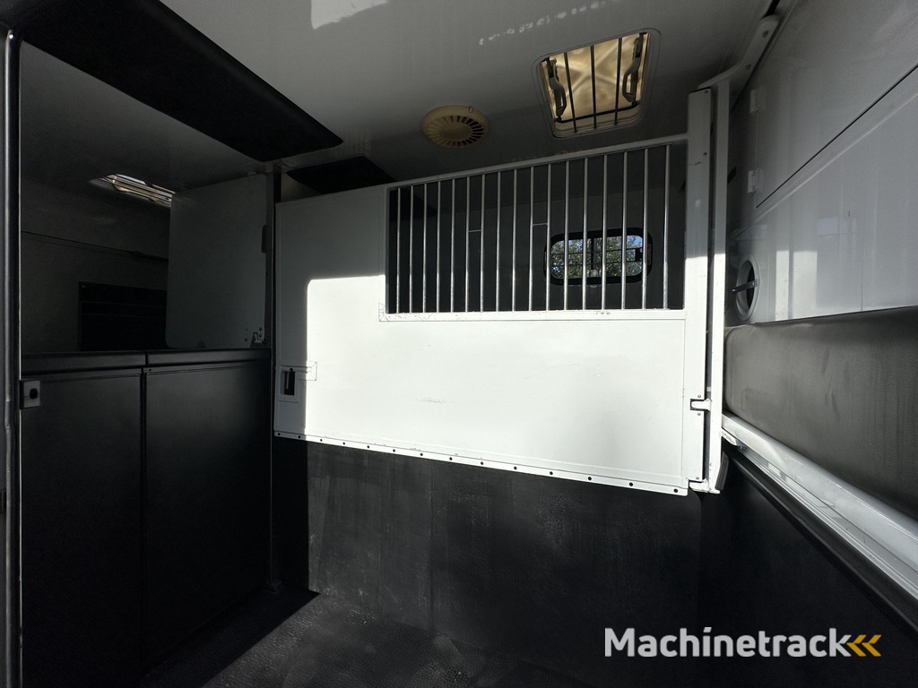 Renault Master MTM 2-paards paardenvrachtwagen MARGE B-rijbewijs