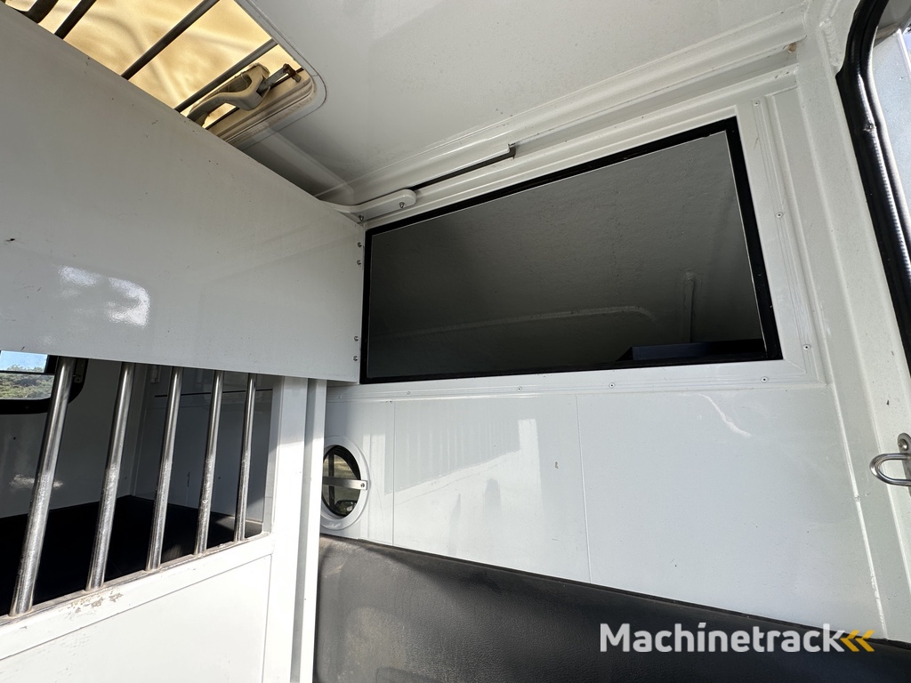 Renault Master MTM 2-paards paardenvrachtwagen MARGE B-rijbewijs