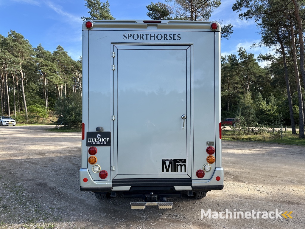 Renault Master MTM 2-paards paardenvrachtwagen MARGE B-rijbewijs