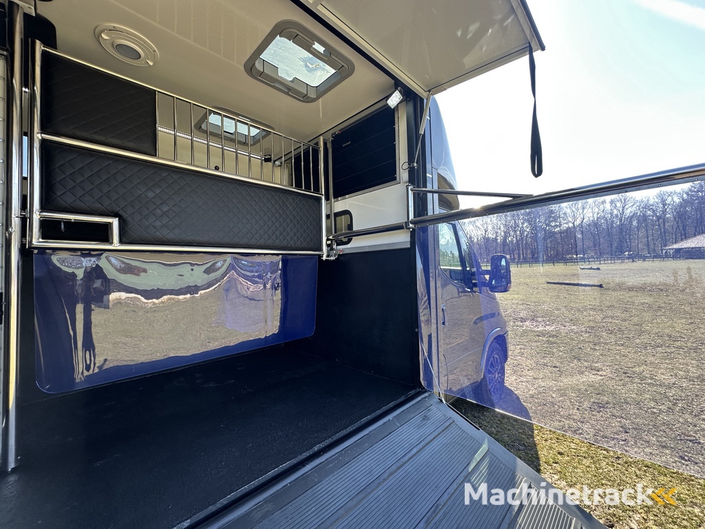 Iveco Daily 2-paards paardenvrachtwagen XXL 3.0l 180PK Automaat B-rijbewijs