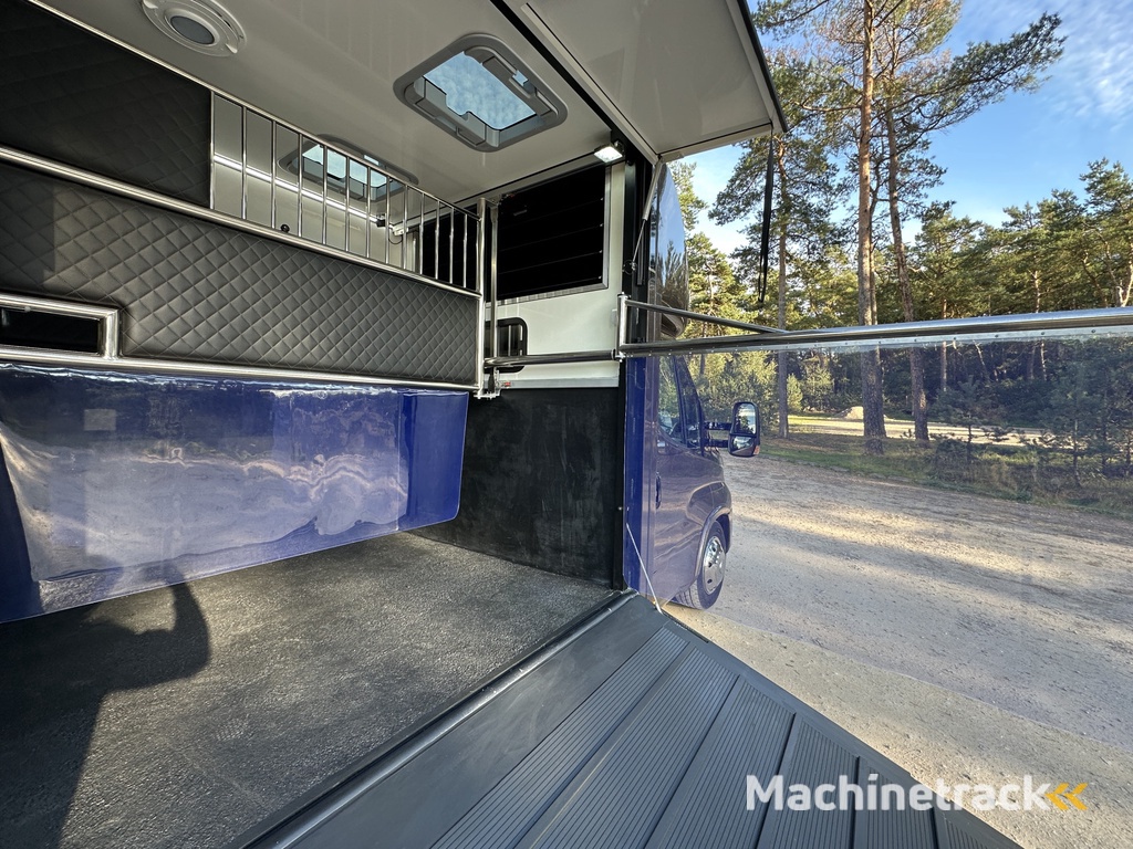 Iveco Daily 2-paards paardenvrachtwagen LIVING 3.0l 180PK Automaat B-rijbewijs