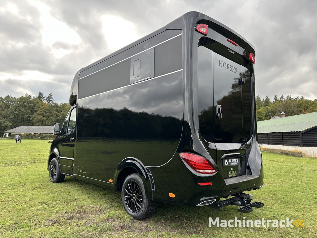 Mercedes-Benz Sprinter 317 AMG 2-paards paardenvrachtwagen B-rijbewijs