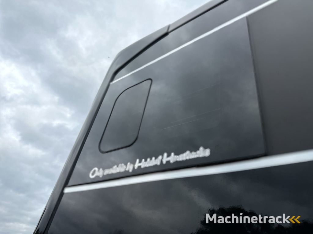 Mercedes-Benz Sprinter 317 AMG 2-paards paardenvrachtwagen B-rijbewijs