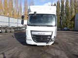 Minituur van DAF LF