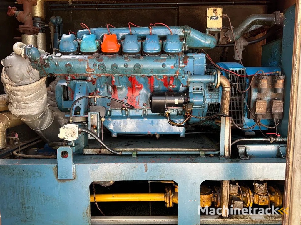 MAN Stamford 275 kVA Silent Gas generatorset in container