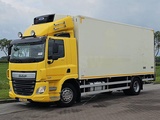 Minituur van DAF CF