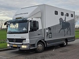 Minituur van Mercedes Atego