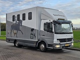Minituur van Mercedes Atego