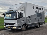Miniaturansicht von MERCEDES-BENZ ATEGO 818