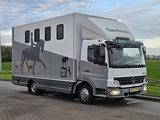 Miniaturansicht von MERCEDES-BENZ ATEGO 818