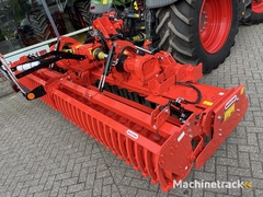 maschio-gabbiano-4600