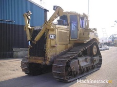 cat-d8n