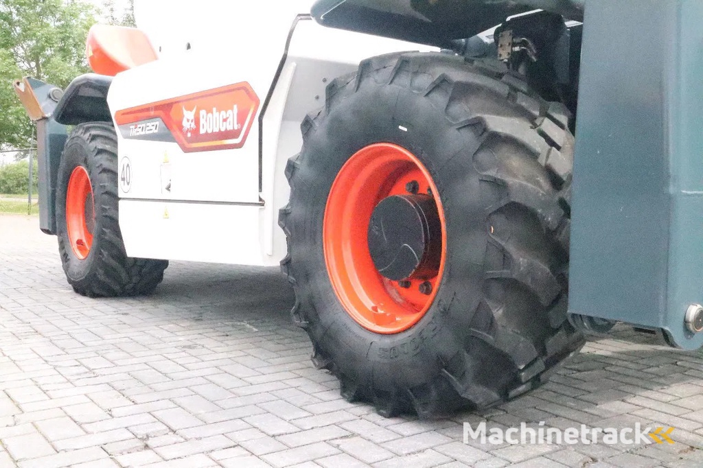 Bobcat TR 50.250 | JIB WINCH | FORKS | ELECTRICALLY OPERABLE 380V