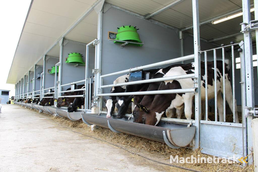 kalverboxen. kalverhok. kalverhokken. kalverbox. Eenlingbox. Eenlingboxen. Kalverenhuisvesting. Kalverenhut. Kalverhut. Kalvereenlingbox. Kalverhuisvesting. Kalverenhuisvesting. Kalveren. Jongvee