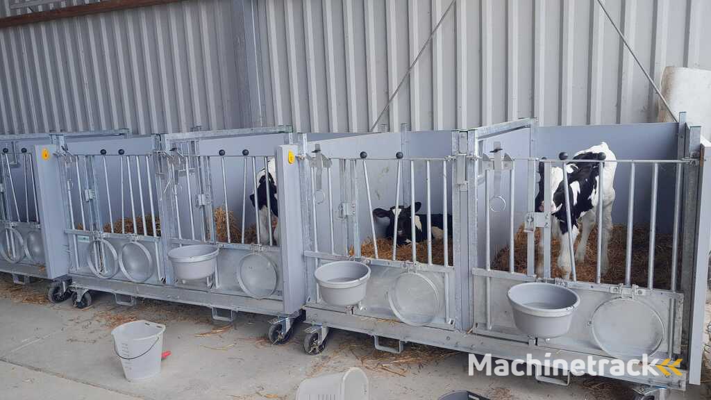 kalverboxen. kalverhok. kalverhokken. kalverbox. Eenlingbox. Eenlingboxen. Kalverenhuisvesting. Kalverenhut. Kalverhut. Kalvereenlingbox. Kalverhuisvesting. Kalverenhuisvesting. Kalveren. Jongvee