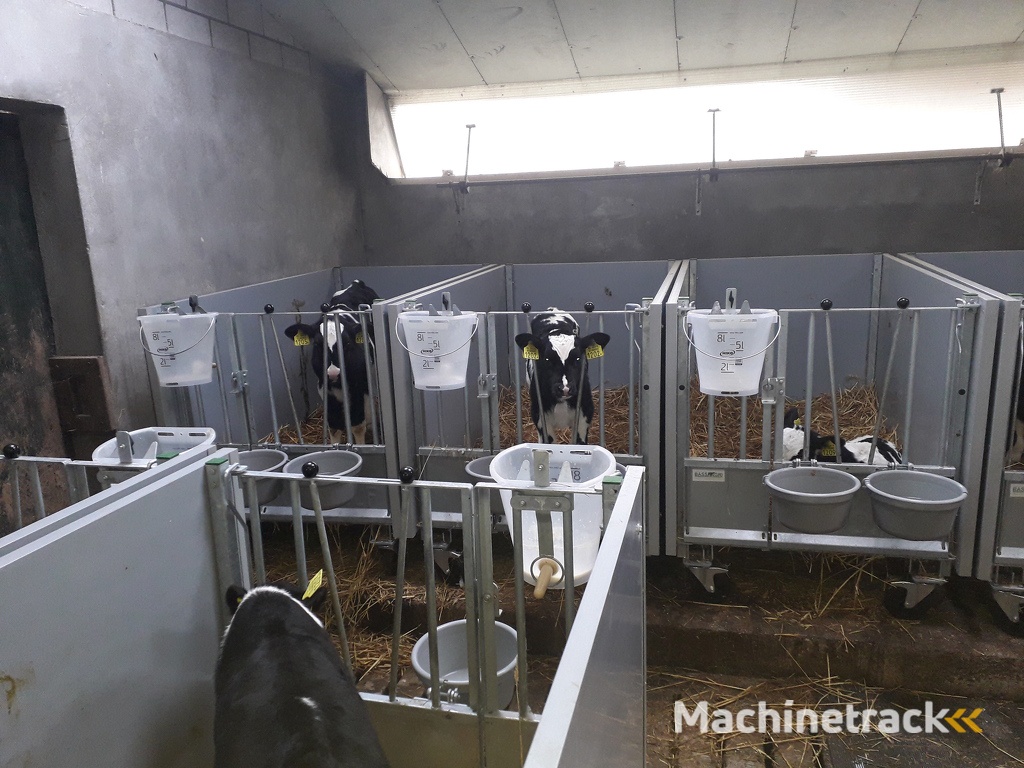 kalverboxen. kalverhok. kalverhokken. kalverbox. Eenlingbox. Eenlingboxen. Kalverenhuisvesting. Kalverenhut. Kalverhut. Kalvereenlingbox. Kalverhuisvesting. Kalverenhuisvesting. Kalveren. Jongvee