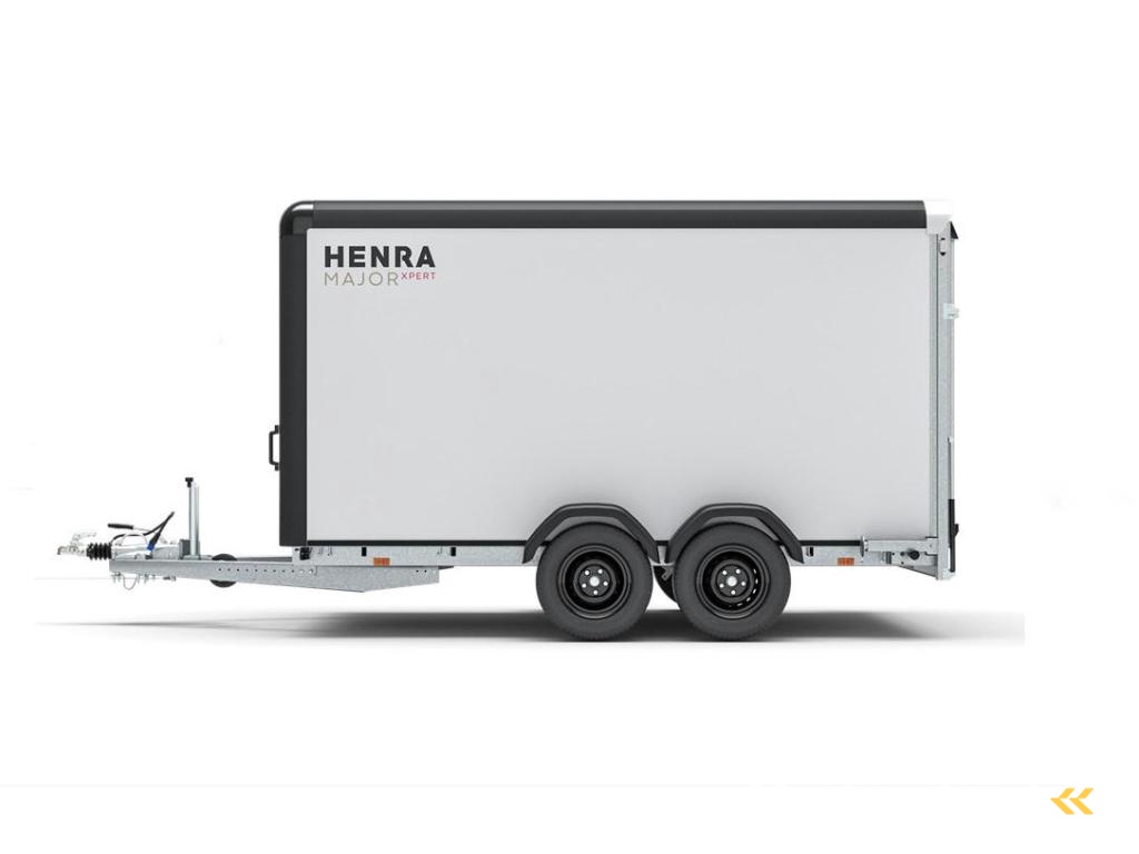 Henra GB273115