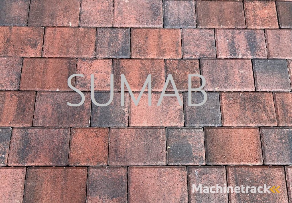 Block production line SUMAB R 1000